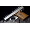Raven Arms P25 pocket pistol .25 auto