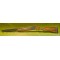WINCHESTER Select Model 101 12g O/U