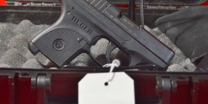 Ruger LCP .380 w/ case & holster